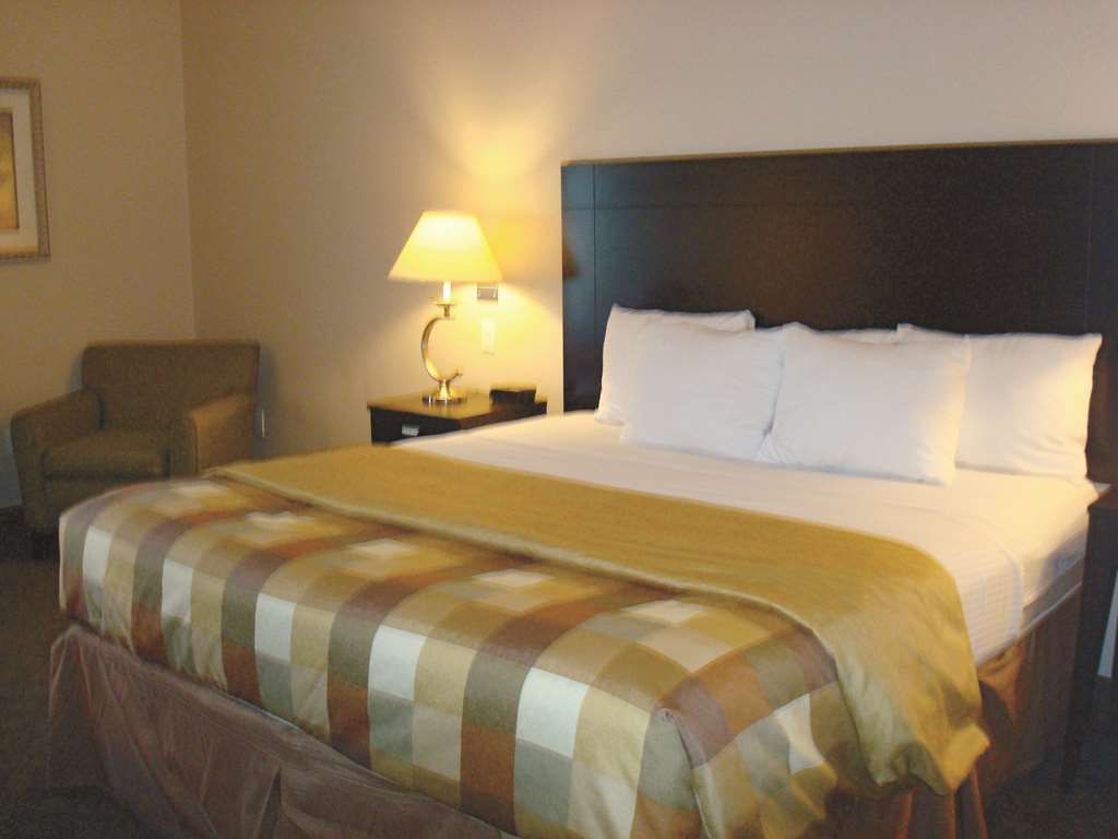 La Quinta Inn & Suites By Wyndham Pharr Rgv Medical Center Pokój zdjęcie